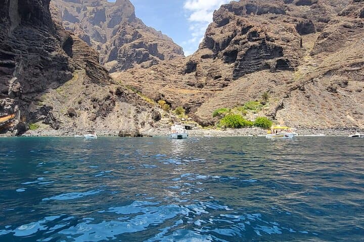 SEA SAFARI Dolphins, Whales, 3h speedboat DISCOVERY-TOUR