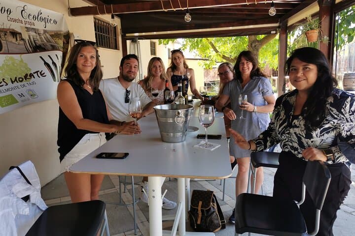 Half-Day Tour to 2 Wineries in Madrid and Chinchon Region