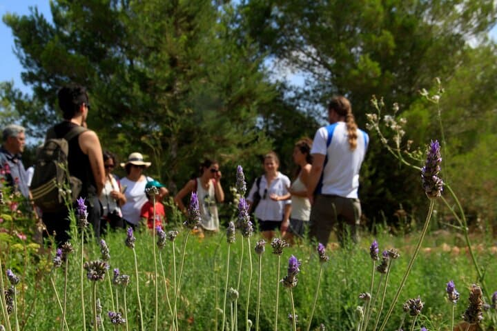 Aromatic Experience in the Medicinal Garden in Ibiza