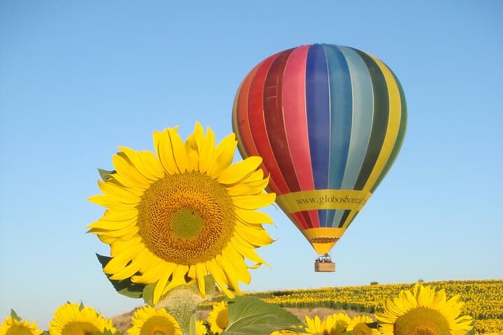 Balloon Rides in Segovia with Optional transportation from Madrid