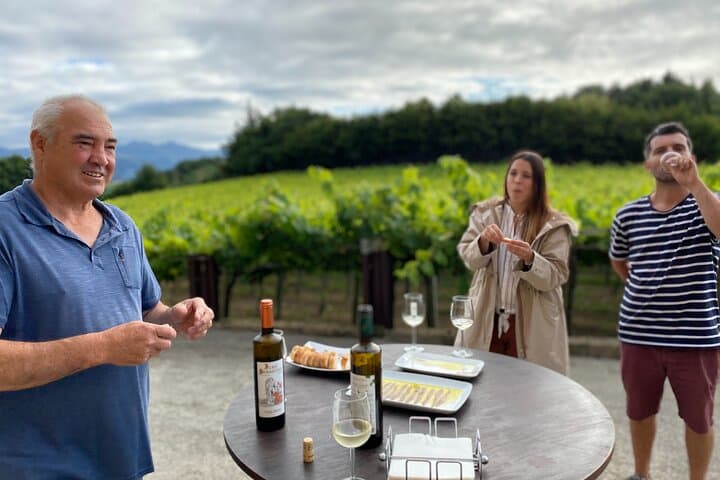Private Tour at a Family Winery and Basque Coast Route