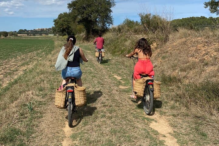 Full-Day Costa Brava and E-Bikes Guided Tour from Barcelona