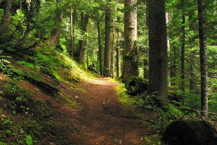 Pyrenees Hiking Experience from Barcelona. Small Group Tour