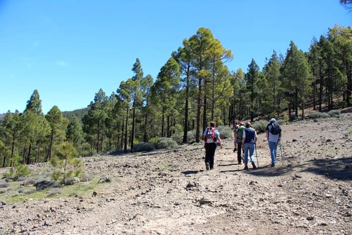 Full day Hiking Gran Canaria Peaks of Gran Canaria