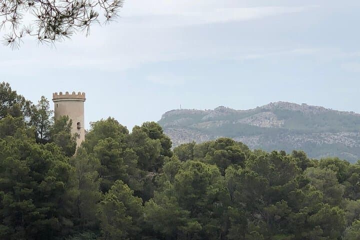 Isla Dragonera Cruise with Light Lunch and Swim Atalaya II