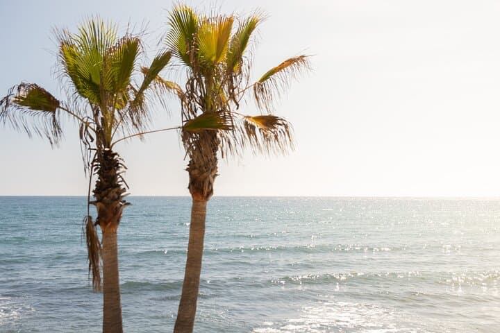 Private City Tour of Marbella and Puerto Banús from Malaga