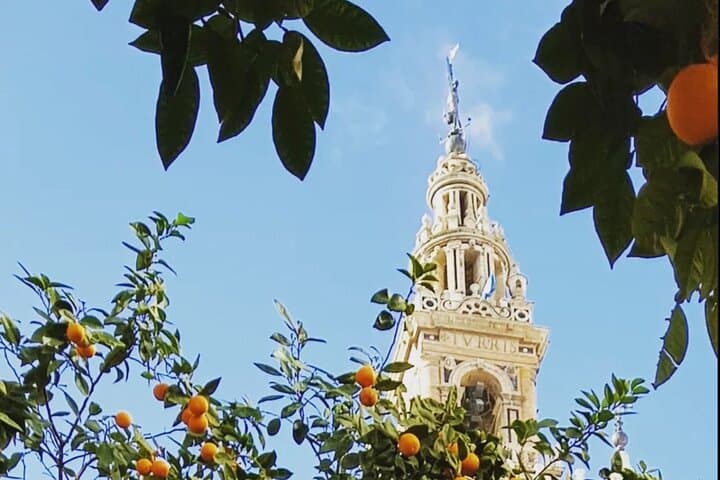 Tickets for Seville Cathedral & Giralda: Skip The Line