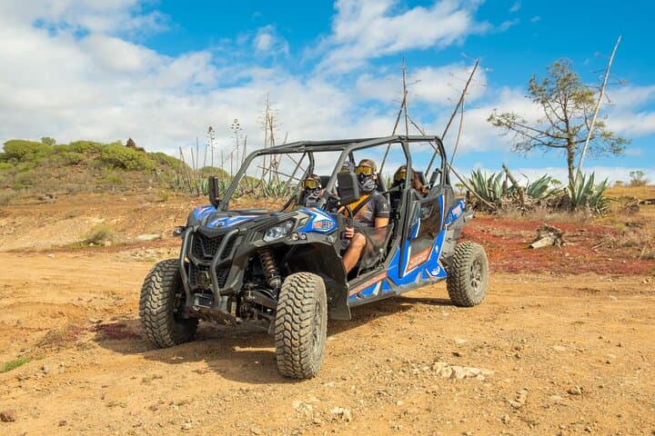 BUGGY 4
