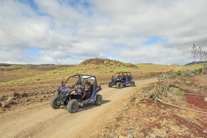 BUGGY RIDE TOUR SAFARI