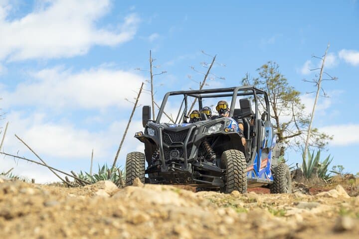 Buggy tour at Anfi beach