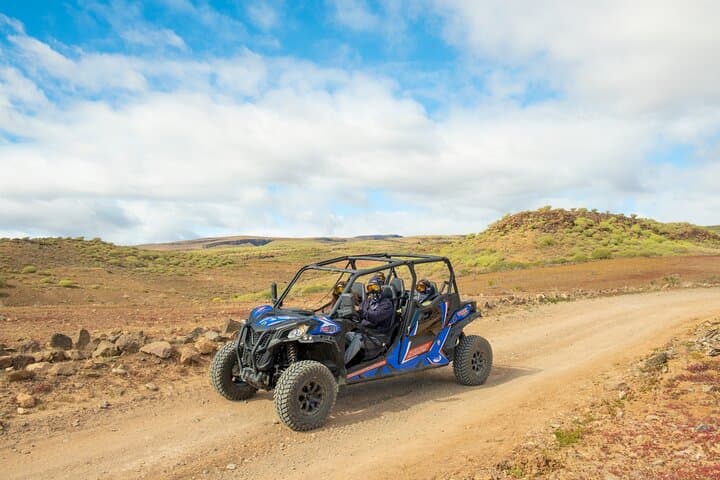 FAMILY BUGGY FOR 4