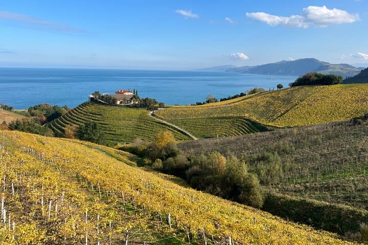 You will enjoy the amazing views of vineyards facing the ocean during the walk
