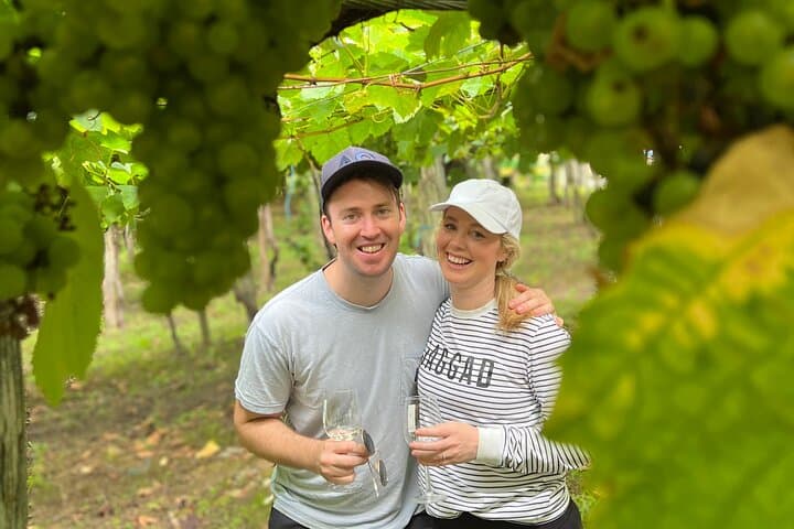 Are you on your honeymoon? We will step under the blanket of the vineyard with a glass of Txakoli wine.