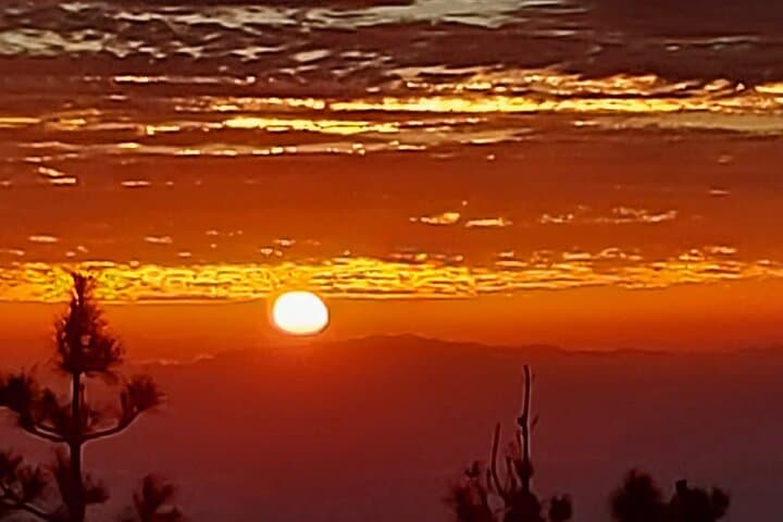 TEIDE NIGHT, Stargazing Bus Tour, Meal & Drinks included!