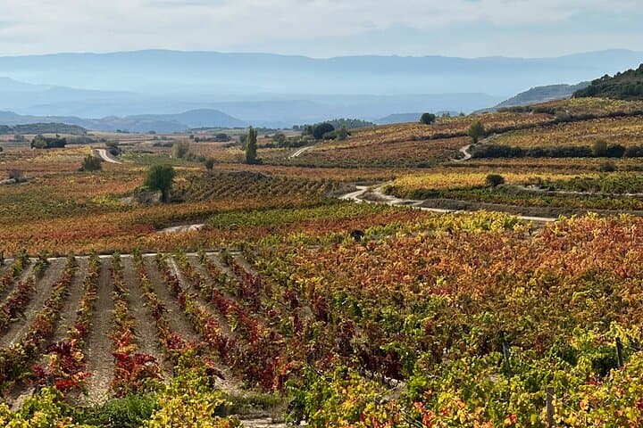 Full Day Tasting The Unknown Rioja Wine Region