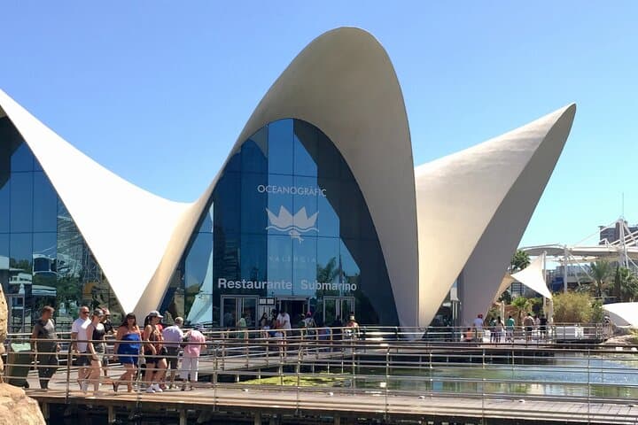 Tour to Valencia in a day from Madrid