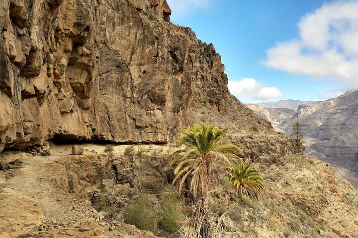 Hiking experience in the north of Gran Canaria