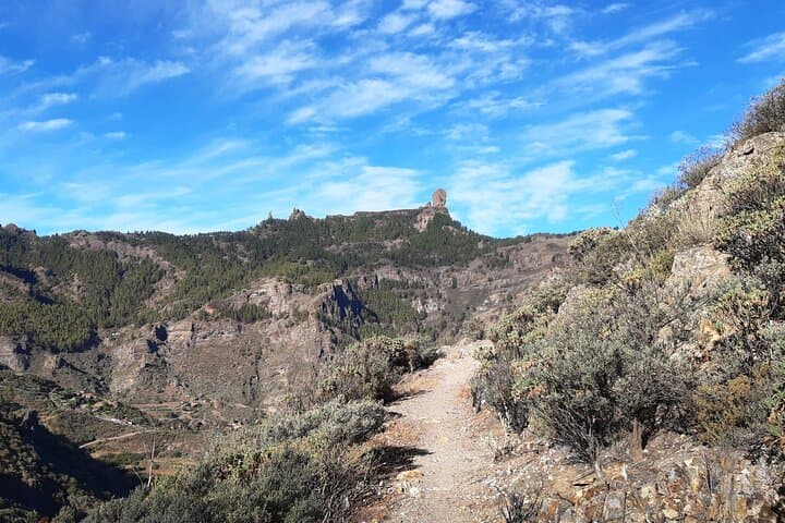 Hiking experience in the north of Gran Canaria