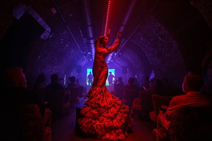 Espectáculo Flamenco Fun and Tickets