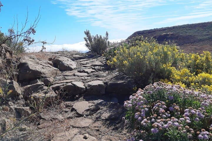 Hiking experience in the north of Gran Canaria