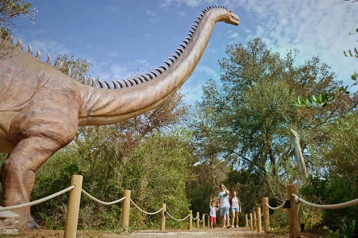 Half Day Tour to Dinosaur Land in Mallorca