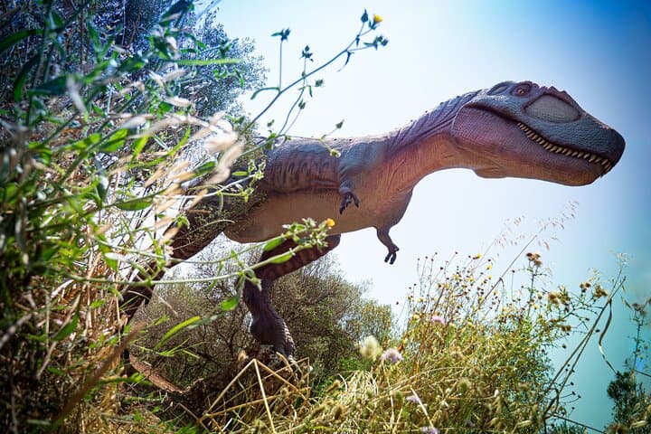 Half Day Tour to Dinosaur Land in Mallorca