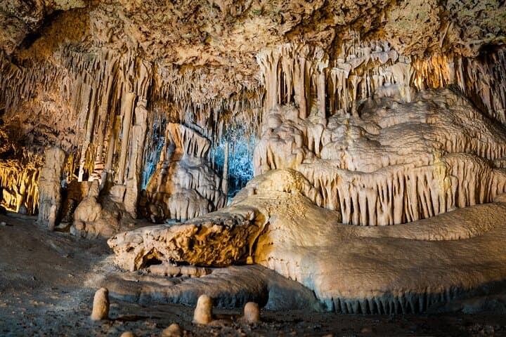 Half Day Tour to Dinosaur Land in Mallorca
