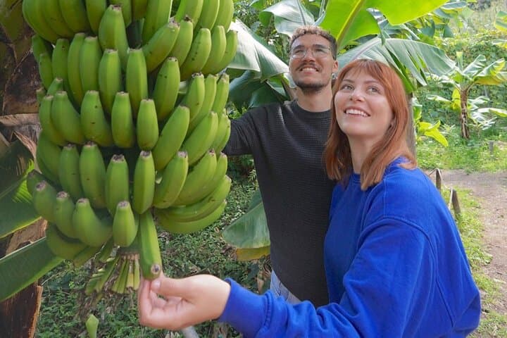 Visit the Ethnographic Park of La Gomera