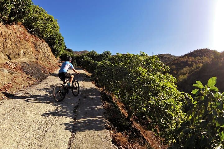 Guided Mountain Bike Adventure