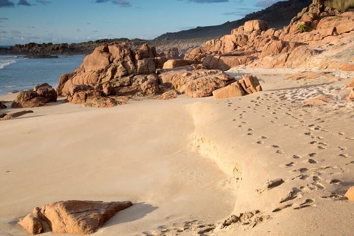 Private Costa de la Muerte and Cabo Finisterre Tour from Santiago