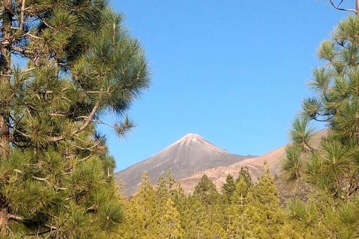 Small Group Monster Quad Teide Tour from Tenerife
