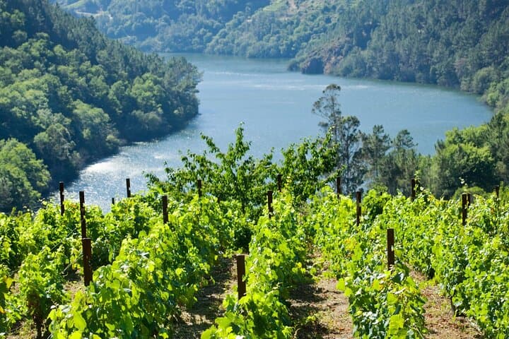 Discovering the Beauty of Ribeira Sacra: A Private Tour