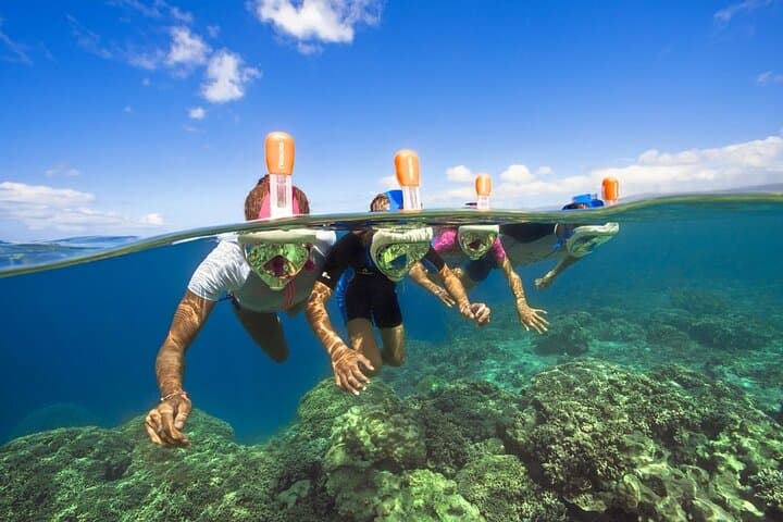 Cressi Full Face Snorkelling masks included