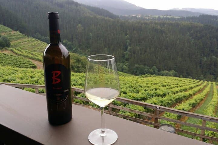 Txakoli Wine Tasting & Local Flavors near Bilbao