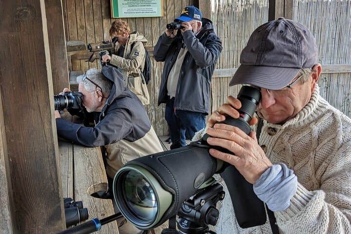 Birding Costa del Sol Day tour