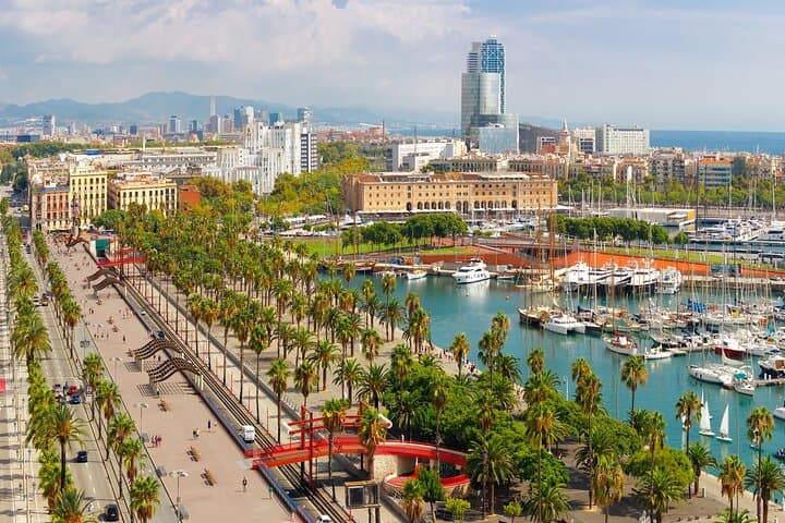 Barcelona Old Town Highlights Private Walking Tour