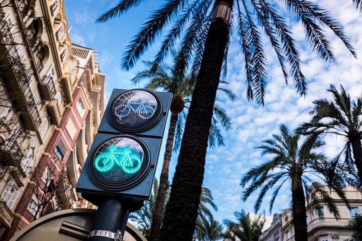Full day Bike Rent in Valencia