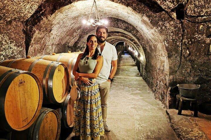 Premium Tour to Ribera del Duero with Wnologist Guide