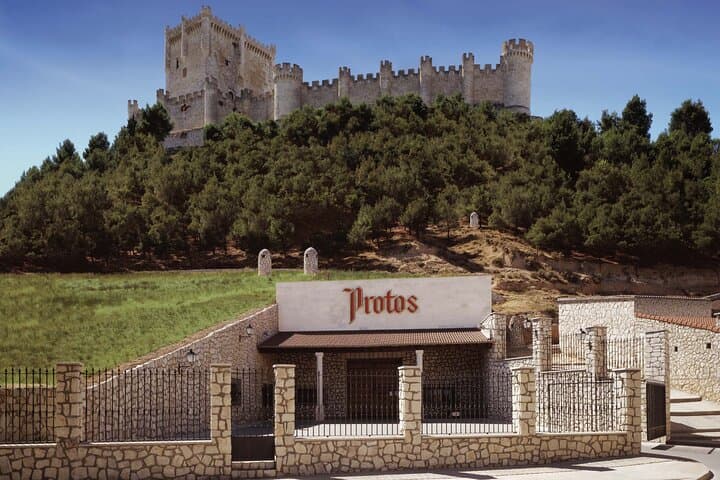 Premium Tour to Ribera del Duero with Wnologist Guide