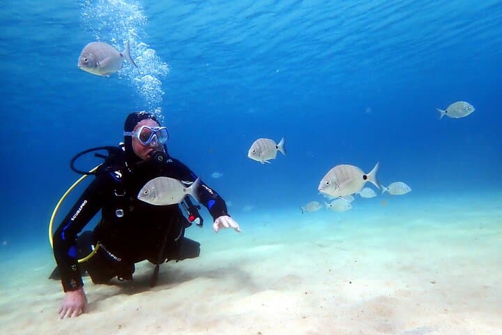 Discover Scuba Diving in Lanzarote (Costa Teguise)