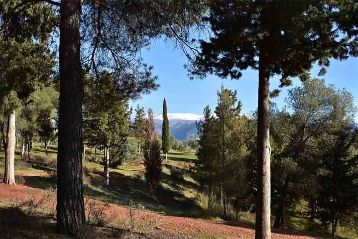 Hiking in the natural park on the outskirts of the Alhambra