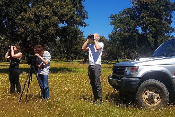 4×4 Safari through Monfragüe National Park