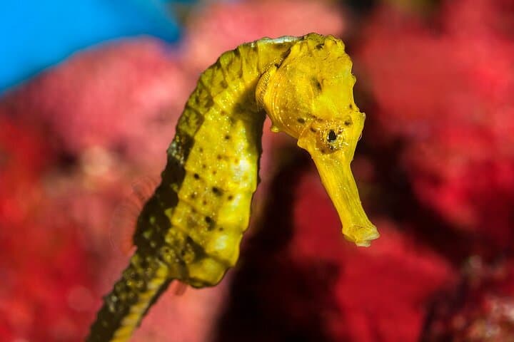 Barcelona Card: Museums + Transport for 72h, 96h or 120h