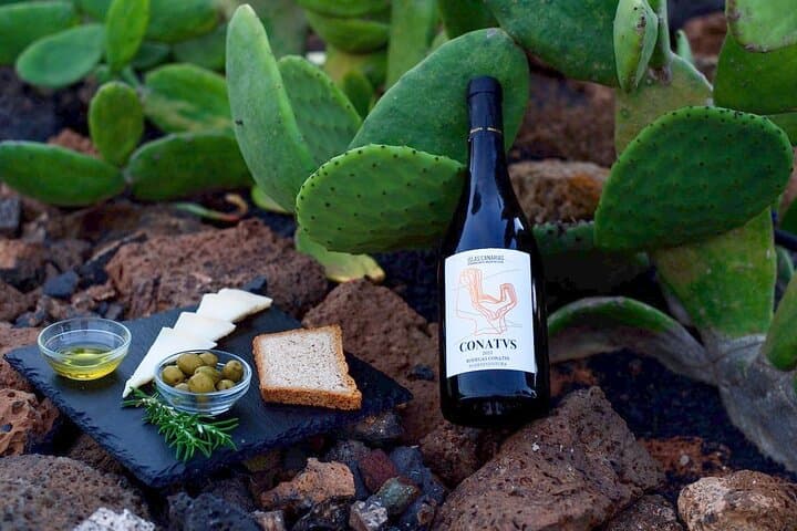 Vineyard tour with wine tasting and local products
