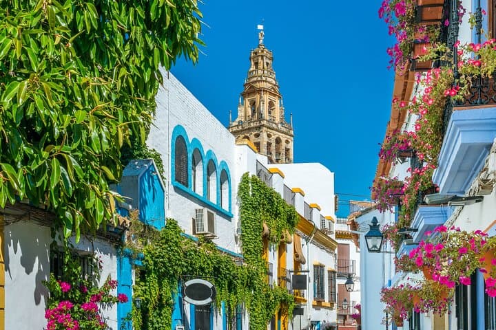 Cordoba Private Daytrip From Sevilla