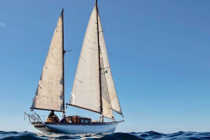 Sail discovering the coast aboard a classic sailboat