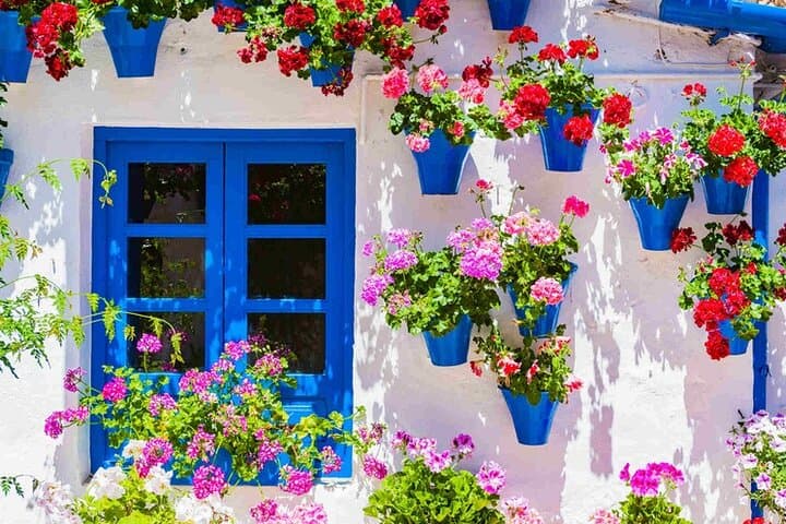 Walking Tour in the Patios of Cordoba
