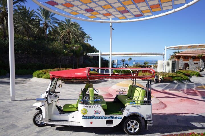 The 100% electric Tuk Tuk