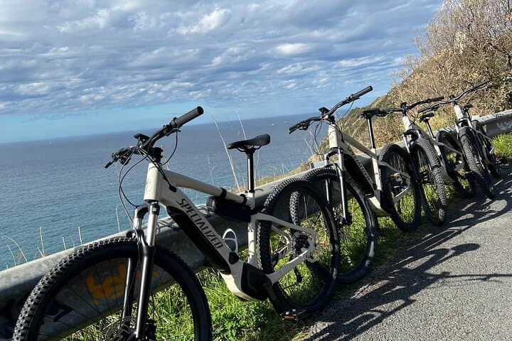 Electric MTB bike tour through the Bay of Plencia