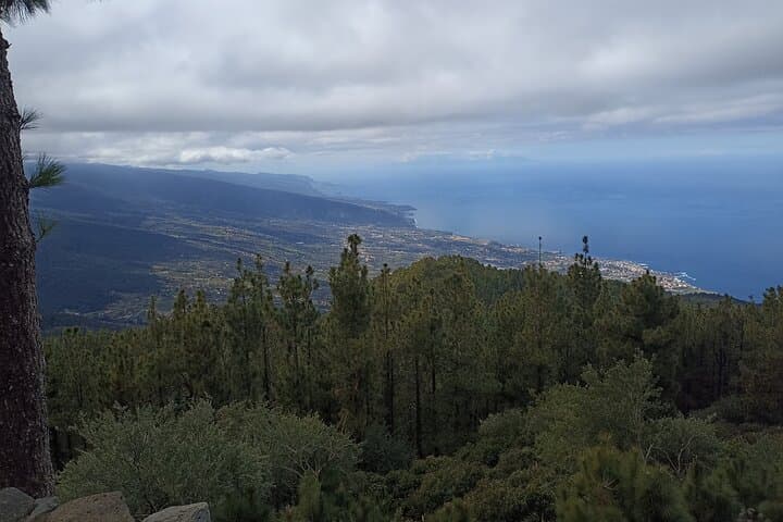 Custom Private Tenerife Volcano Tour - photos included